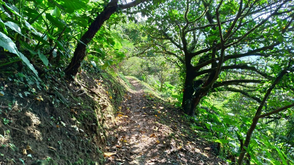 基隆山登山步道_591988