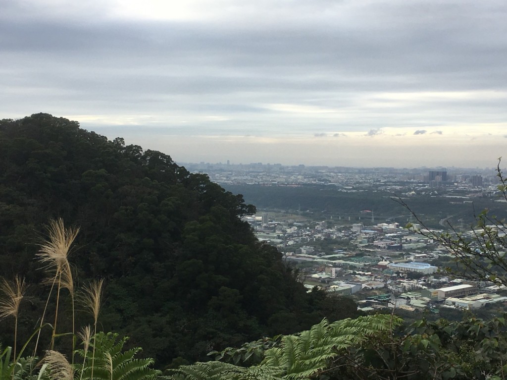 2018.1.18三峽鳶山登山步道_255615