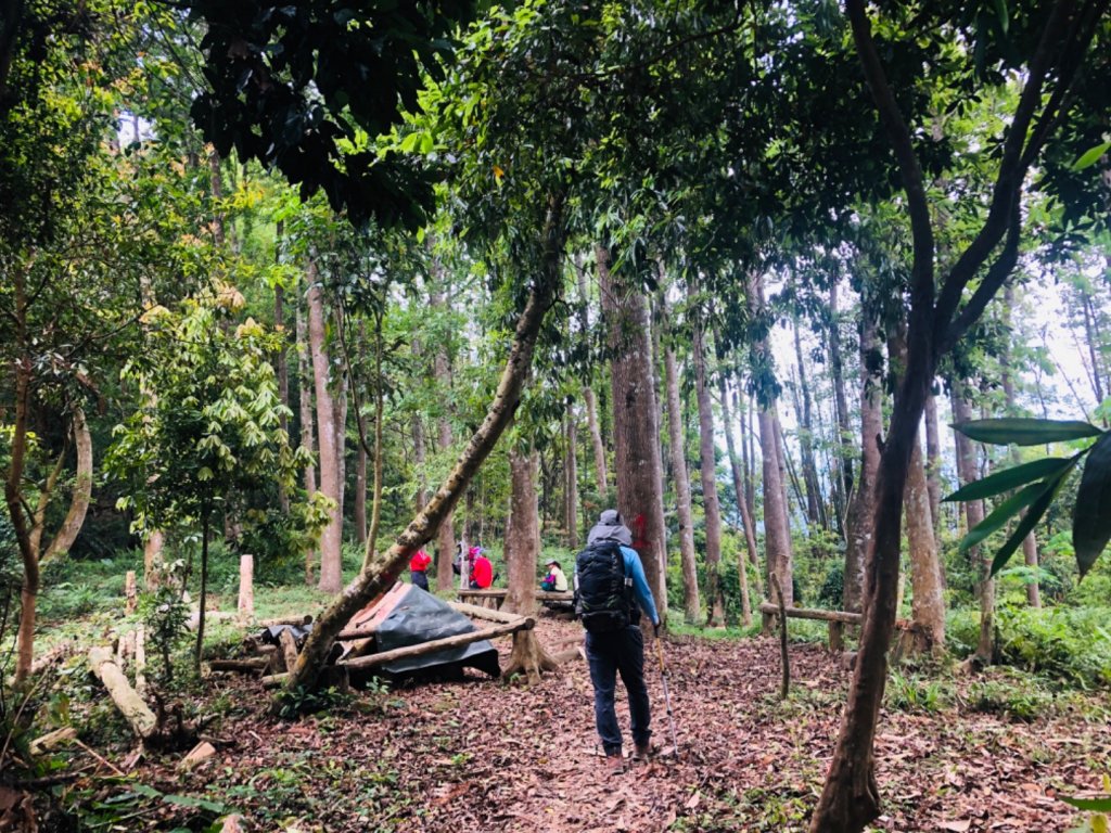 1090411大克山_913992