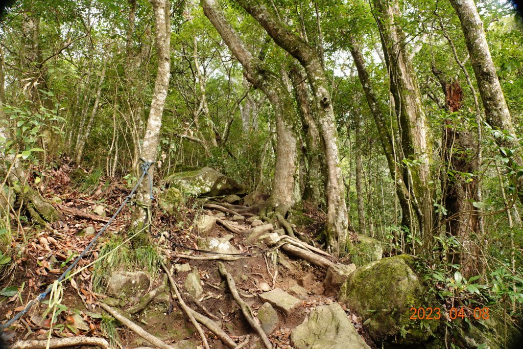 苗栗 泰安 虎山_2107233