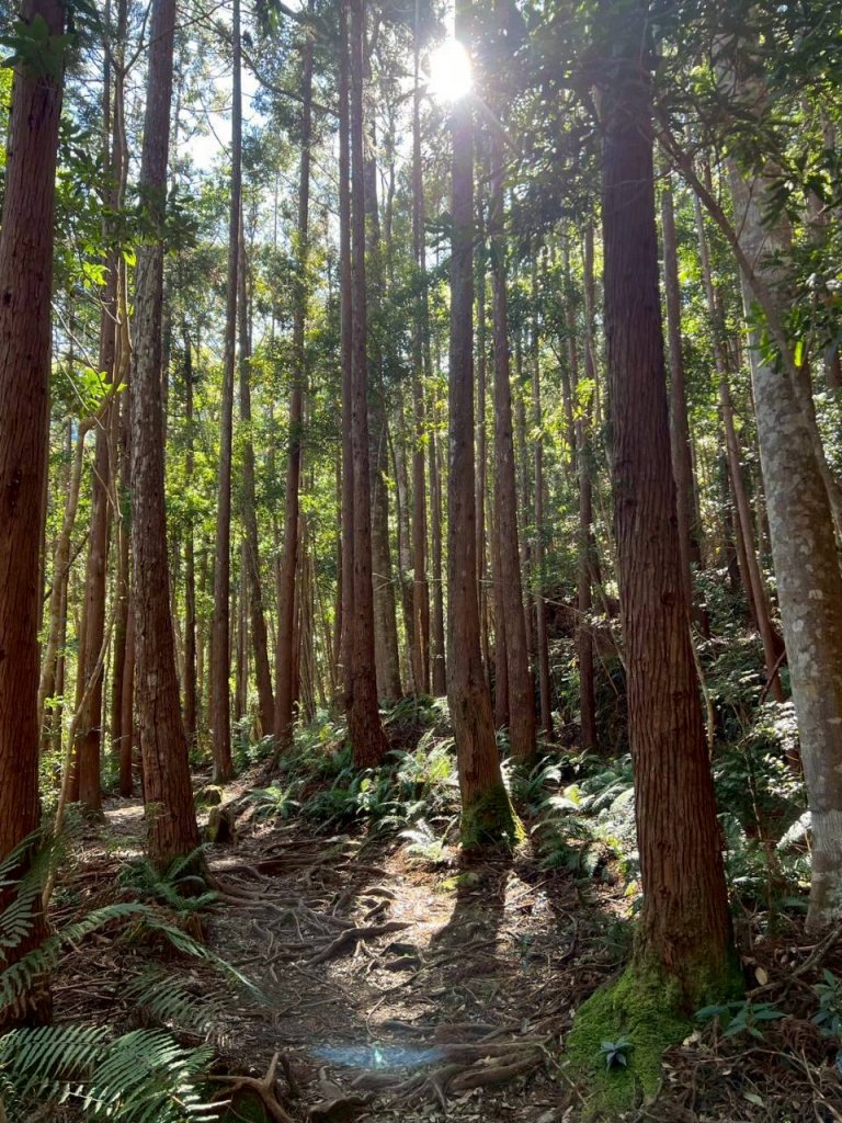 🌈11/15（六）松鶴上八仙山下森林遊樂區✨FB：熊熊趴爬走🌈_2937644