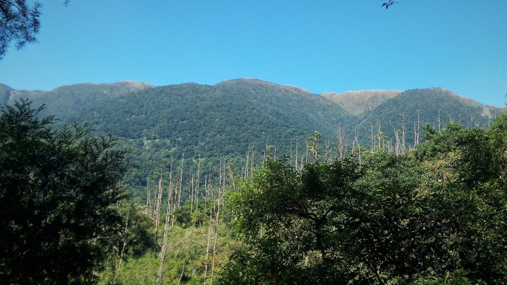 聖母山莊登三角崙_448028