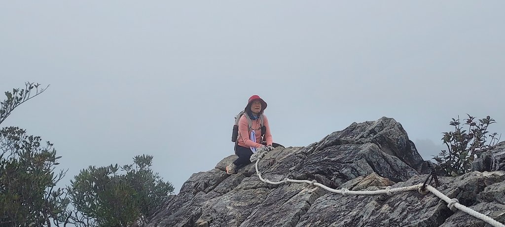 台中 鳶嘴稍來山O繞+稍來神木封面圖