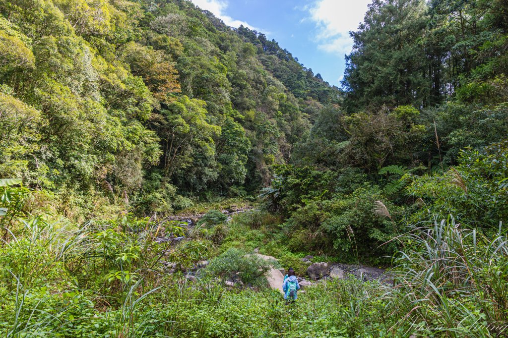 桶後越嶺_2950055