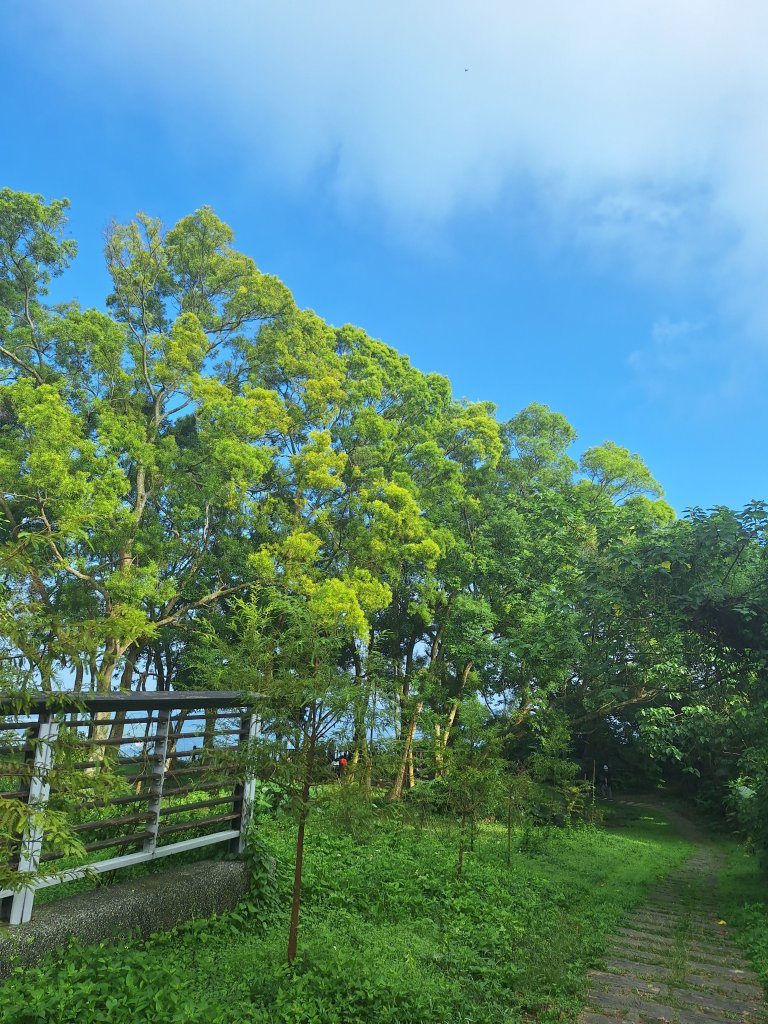 碧雲寺枕頭山O型20241006_2615788