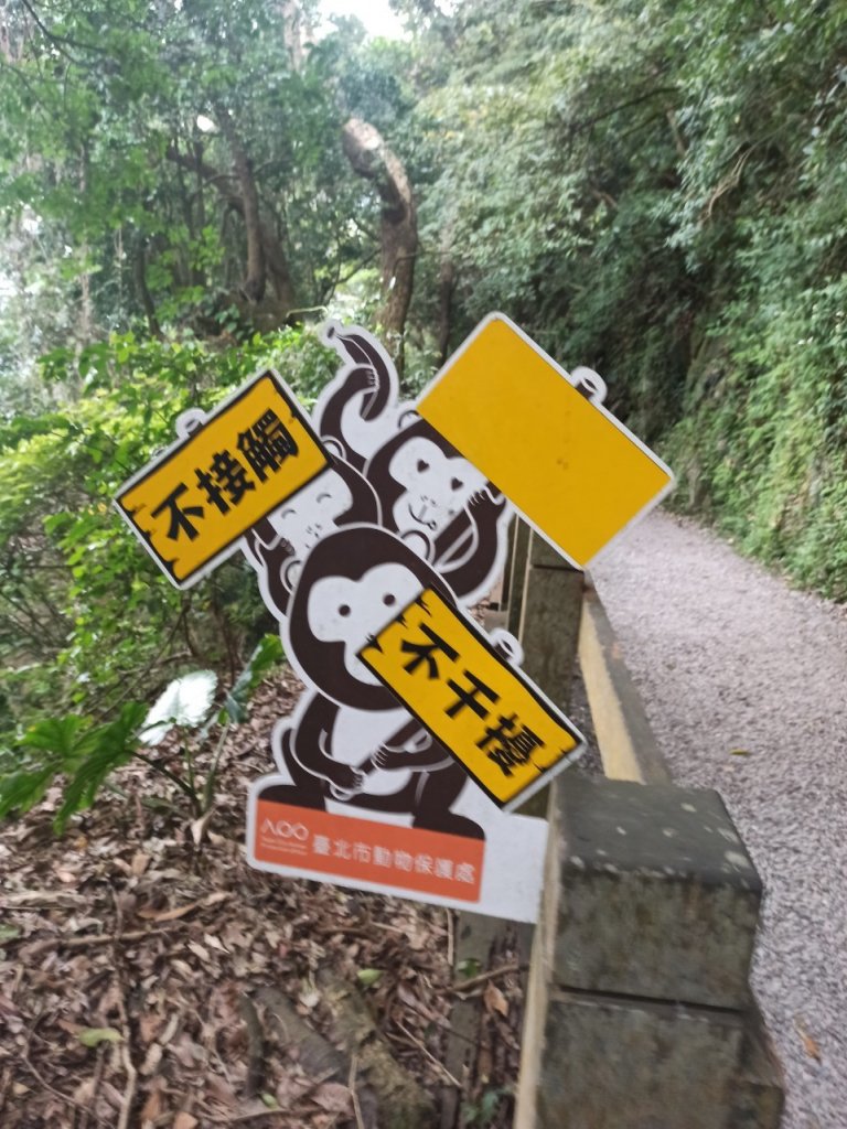 天母古道-翠峰瀑布-紗帽山-橫嶺古道_926555