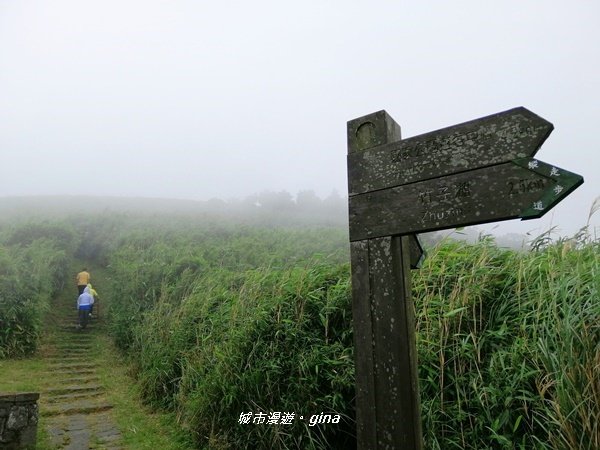 台北市第一高峰。 編號02小百岳七星山_1235291