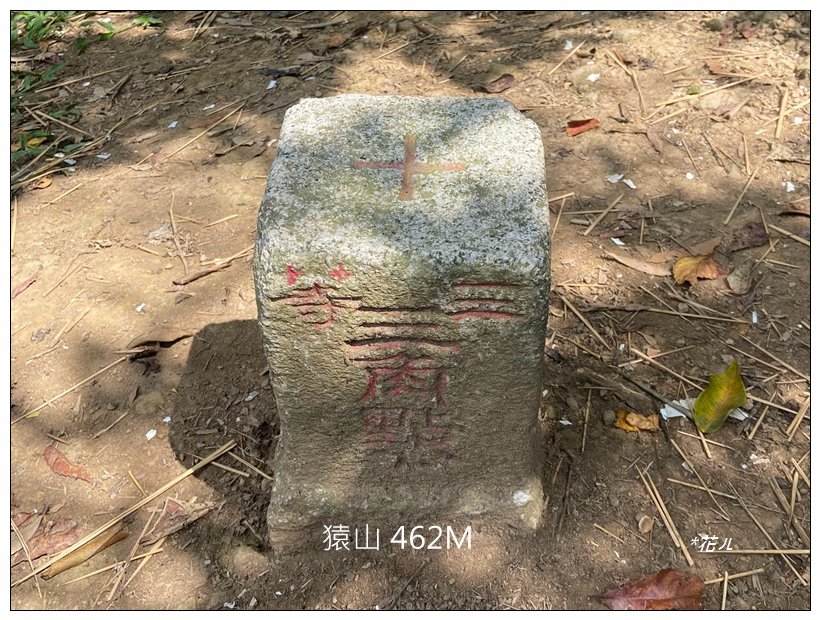 藤坪步道、猿山連走_2601603