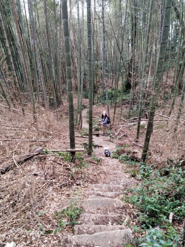 1090128年初四奮瑞古道健走_816935