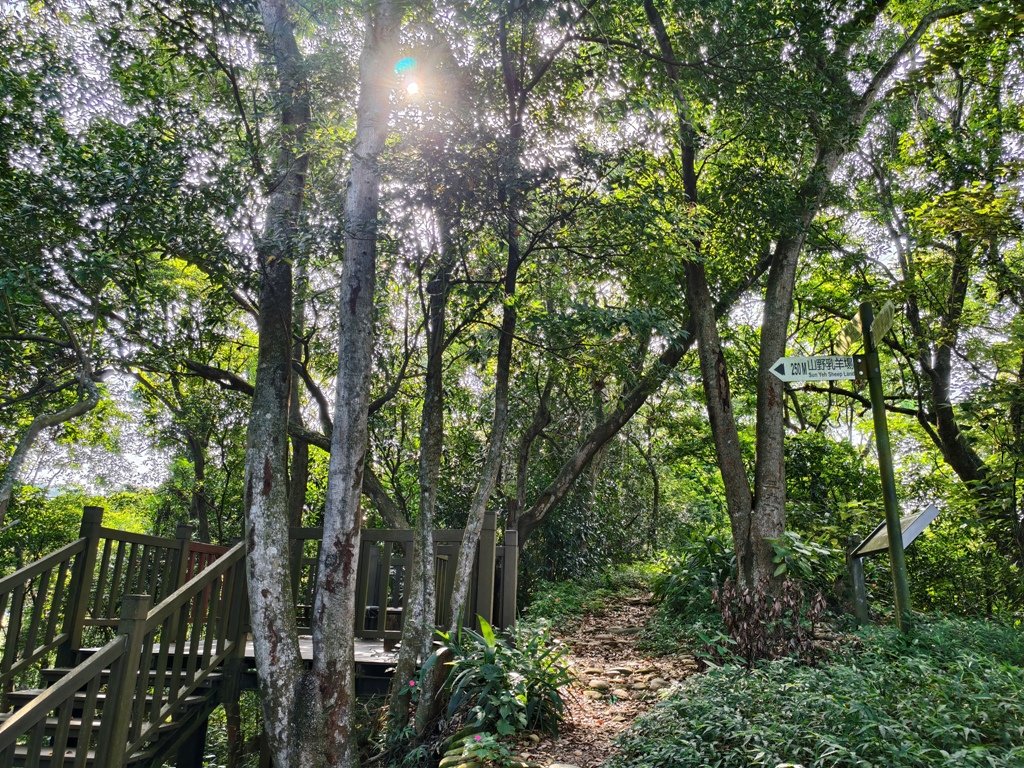 【員林】隴頂古道連走萬里長城及藤山步道O繞_2871779