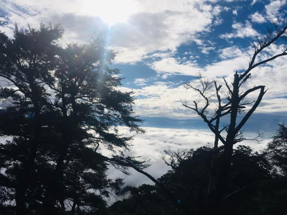 期間限定、北得拉曼神木、內鳥嘴山毛櫸、巨木、雲海、瀑布_1924501