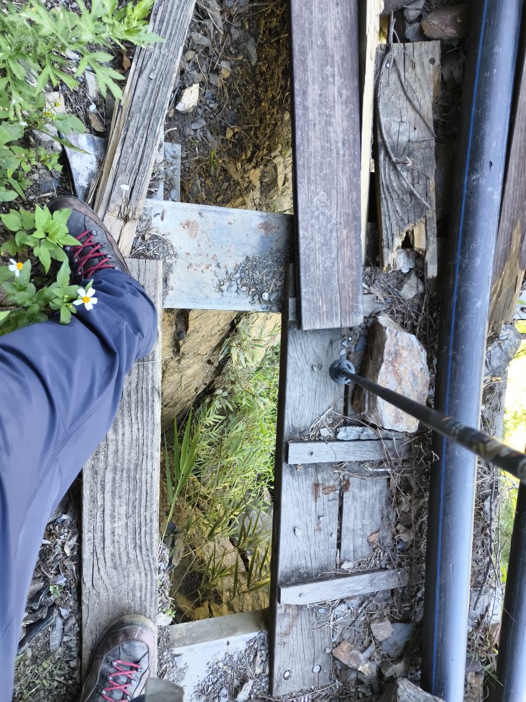 [玉山尋寶任務-07/12] 2025_0824 八通關雲龍瀑布步道_2870590