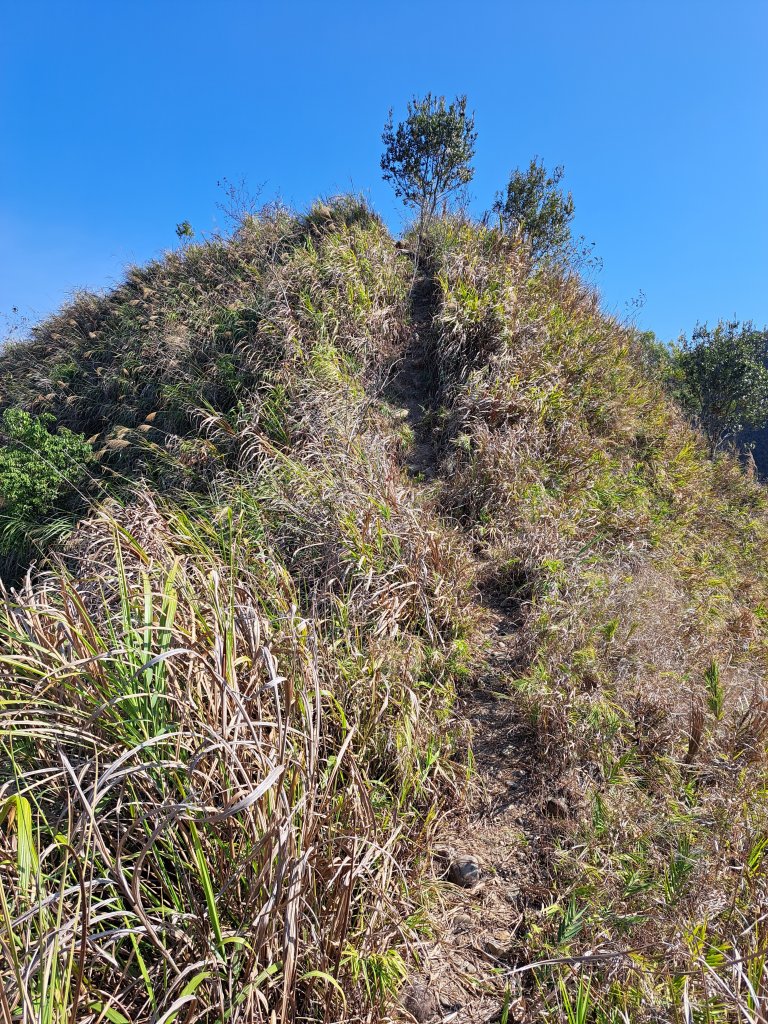 霧峰奧山+砲台山+桐林山O型20230127_2008285