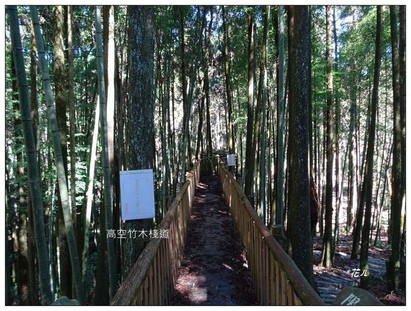 石壁木馬古道(五元二角綠廊)_1515764