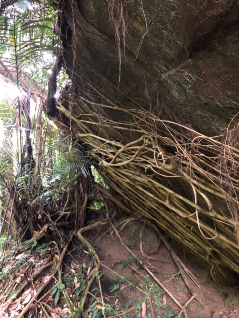 畝畝山、青林山、石古井、石硿子瀑布、石硿子古道O走_1492723