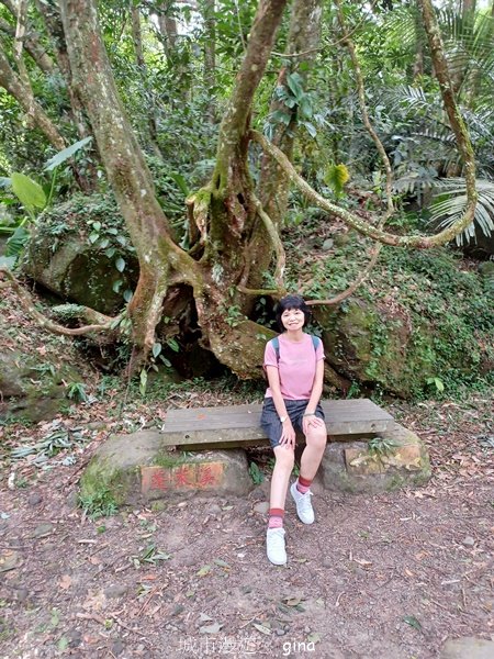 【苗栗南庄】沿途潺潺溪水聲。 蓬萊溪護魚步道_2688906