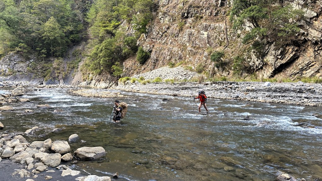 台灣最高如神般存在的大安溪倚天劍巨木探訪_2747957