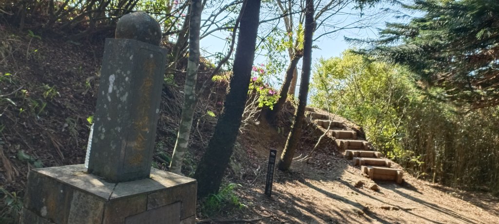 20240224_馬那邦山、細道邦山步道_2436122