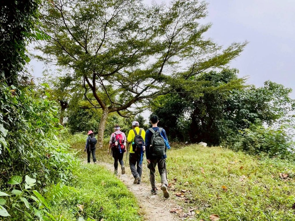 🌈12/14(日)南部最佳百岳練習場~小百岳-尾寮山✨FB：熊熊趴爬走🌈_2961685