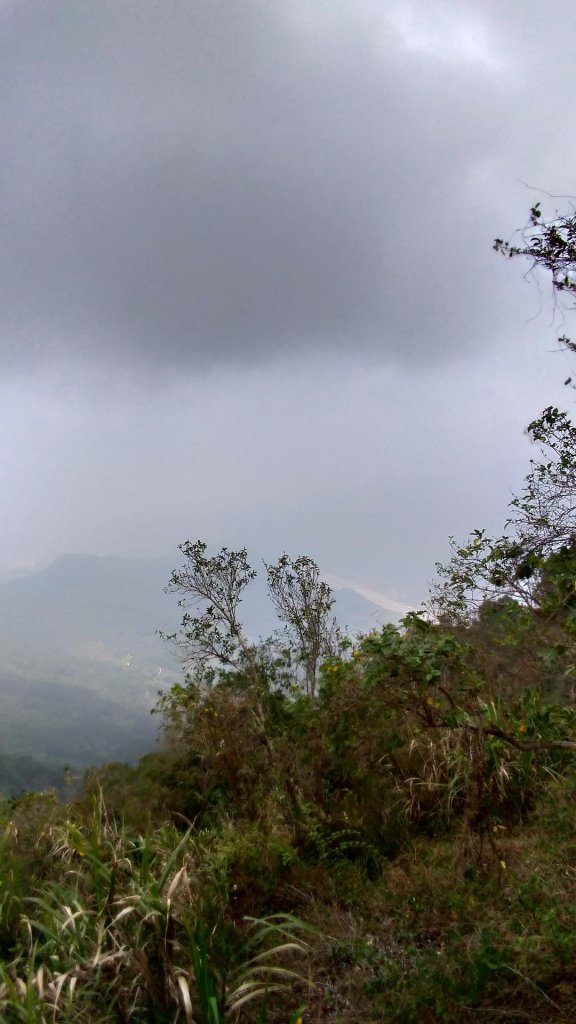 力里圓山森林步道 好熱啊～_560566