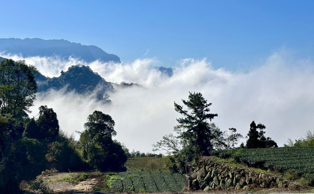 五元二角、雲嶺之丘 、番子田山、木馬古道_2451120