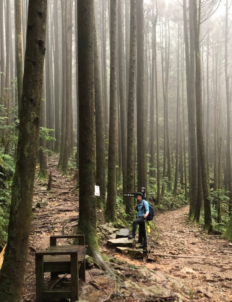 橫嶺山、鳶嘴山O 走_1661034