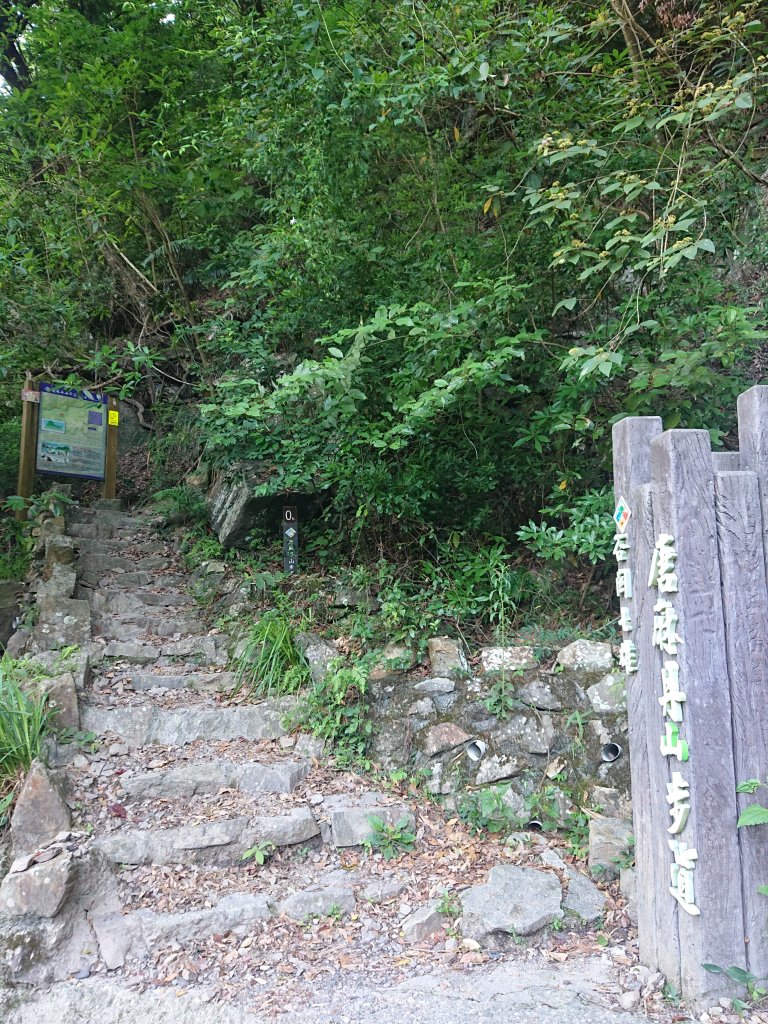 唐麻丹山_2790134