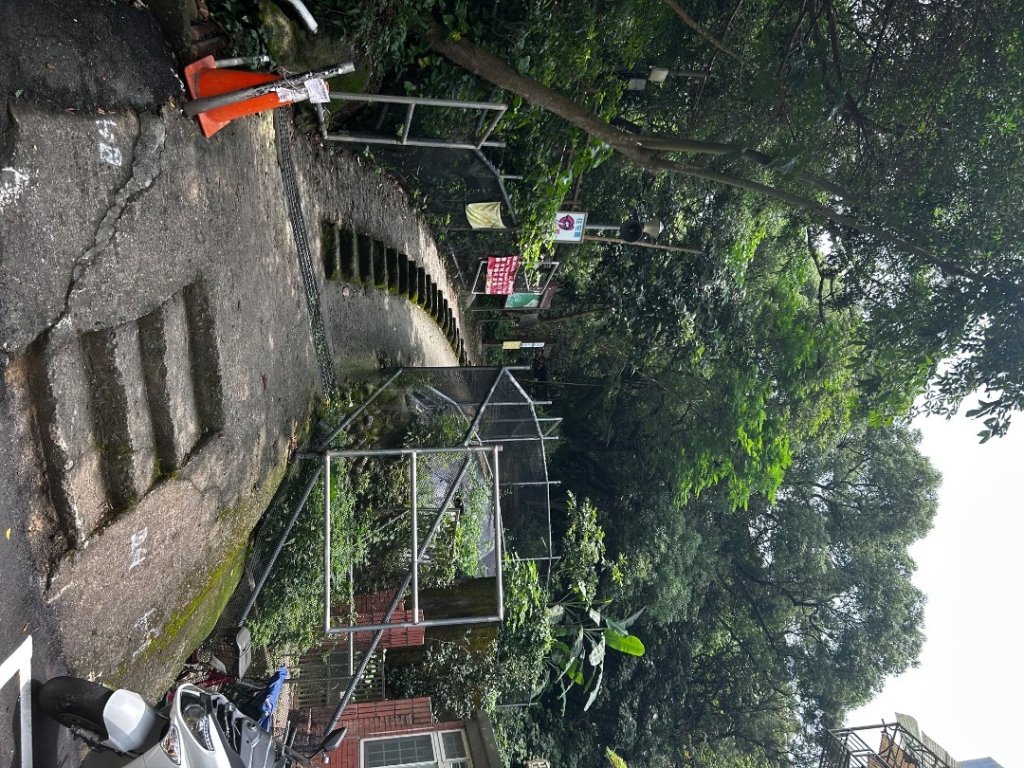 內湖金面山封面圖