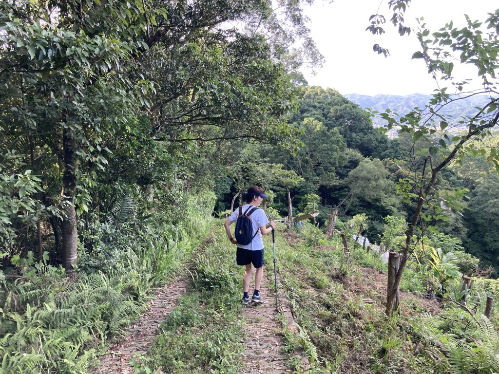 大山背麒麟步道_2538835