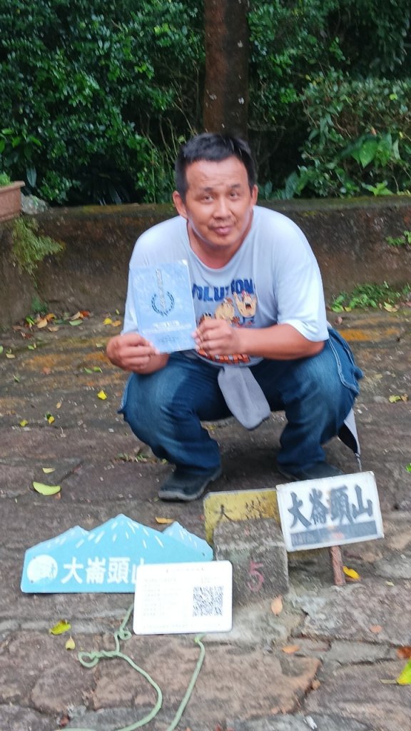 大崙頭山封面圖