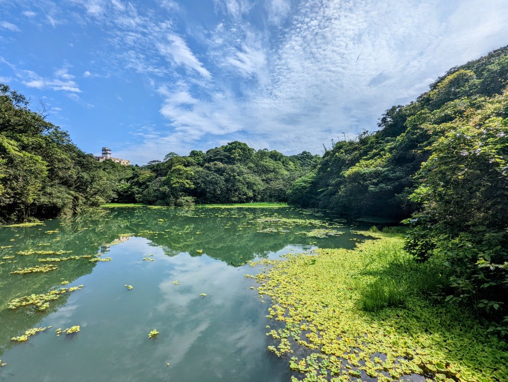 總督嶺古道。五坑湖封面圖