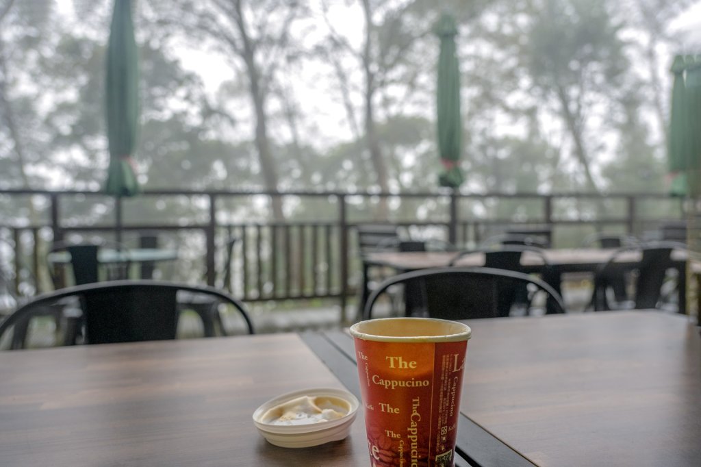 東眼山雨中尋幽_2975354