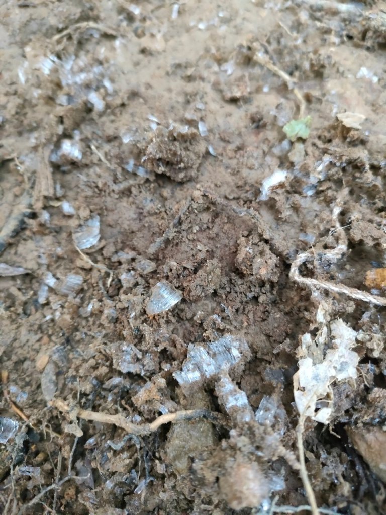 雪季北得拉曼_2956372