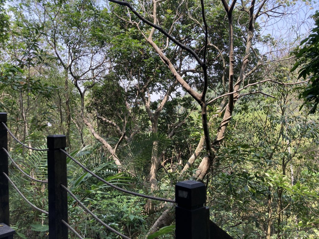 大坑９號步道封面圖