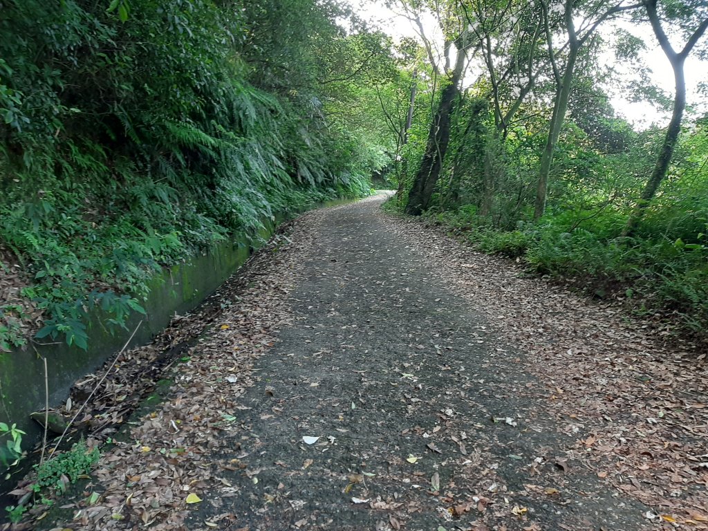 20200509 暖暖 - 威惠廟_960843