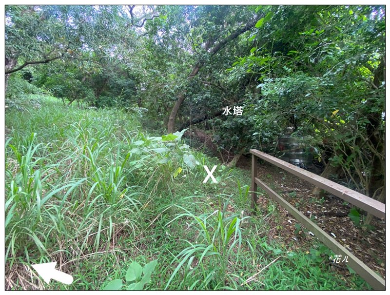 土地公坑 新路線 (彰化、花壇)_3070360