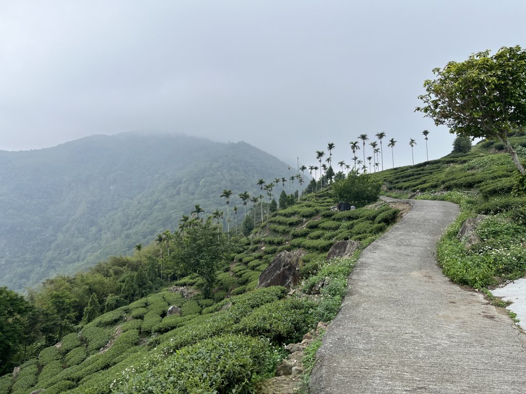 2023_0429_挑筍古道_2138214