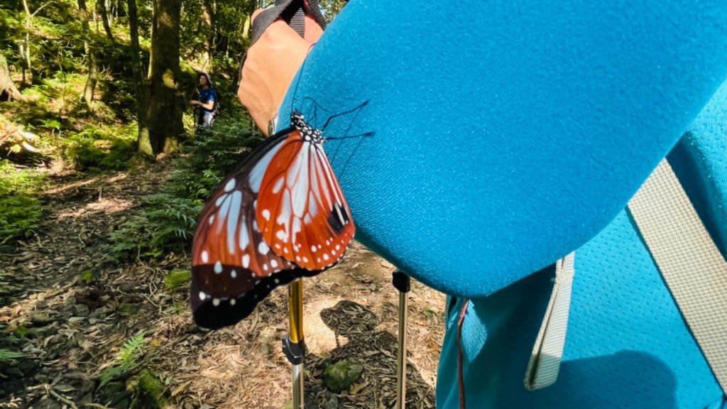 1101010拔刀爾山.美鹿山_1485152