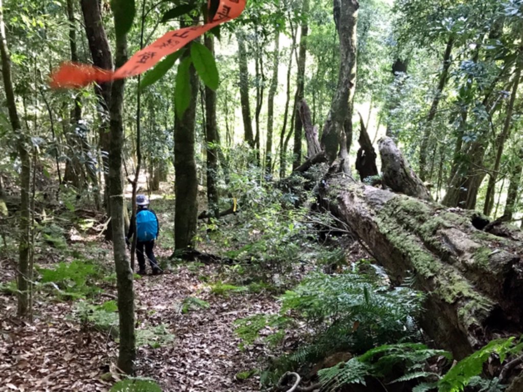 守關守城走大山_1187017