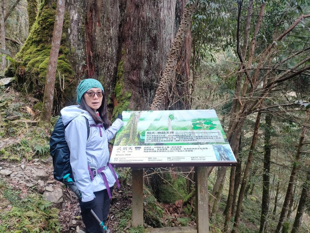 20220226 明池森林遊樂園，棲蘭神木園_1618911