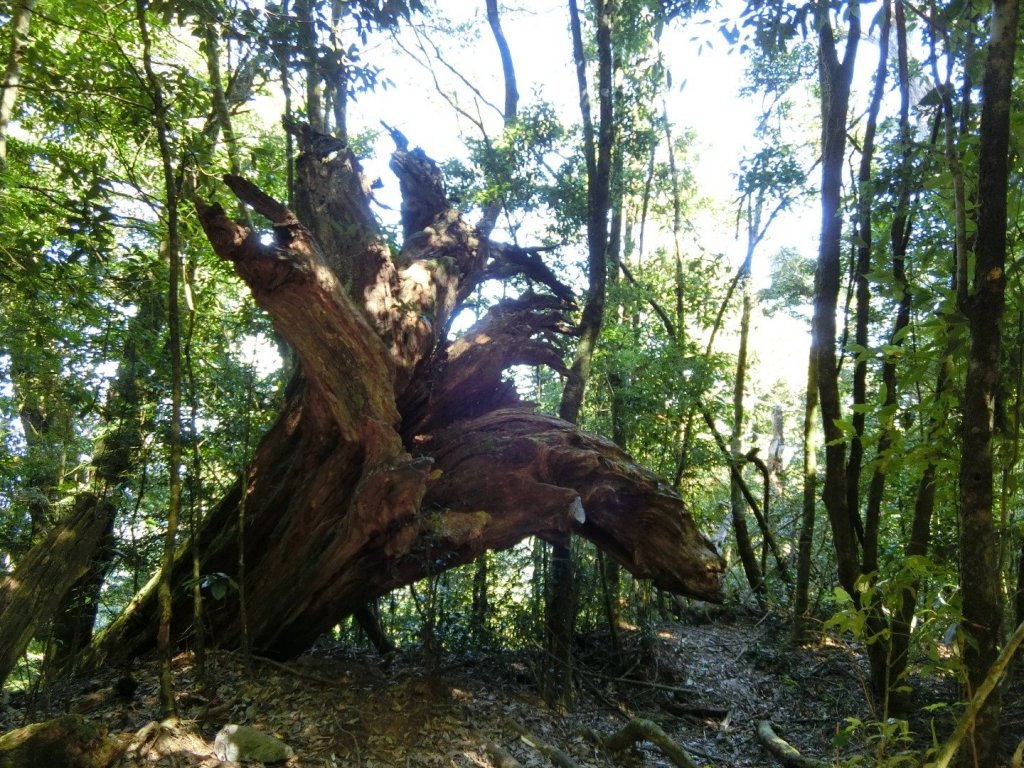 喜愛曬太陽又流汗又刺激又美麗_446217