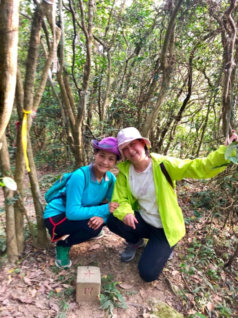 2019-07-28新北萬里駱駝峰稜線_647438