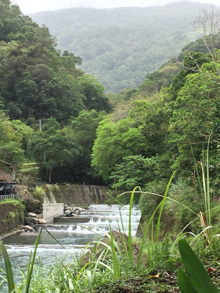 大羅蘭溪古圳步道(福山馬岸)_1056534