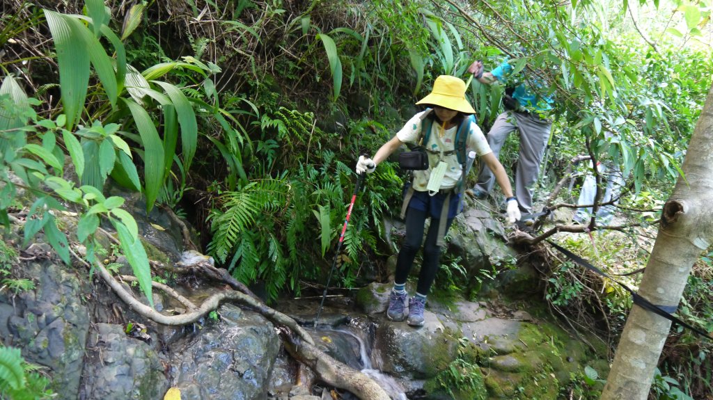 金瓜石黃金洞登山健行趣(郊山)_1518989