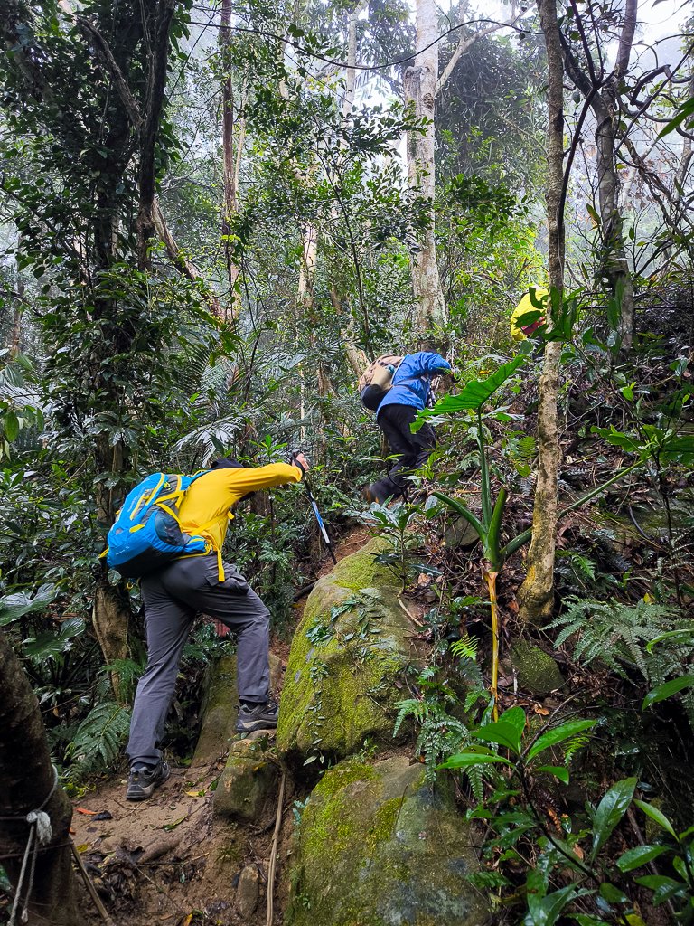 2025-03-08 汶水三山：金童山、汶水山、玉女山 連走_2736509