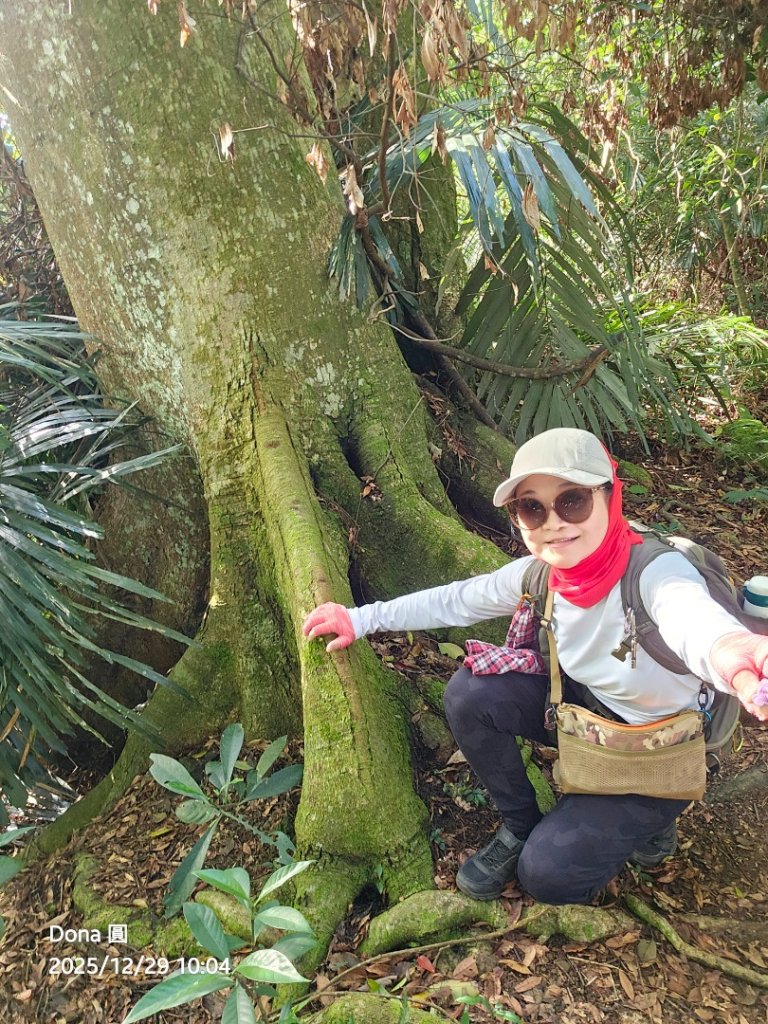 20251229石龜坑山上白石山下白石埤O走+阿姆坪_2976658