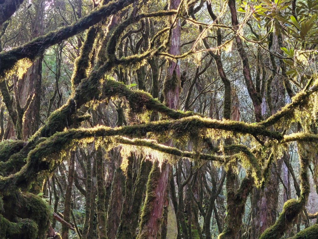 20230219 塔魔巴_2037381