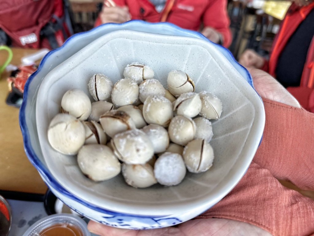 溪頭六連峰O繞_2741707