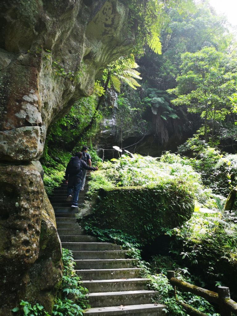 三民蝙蝠洞_915610