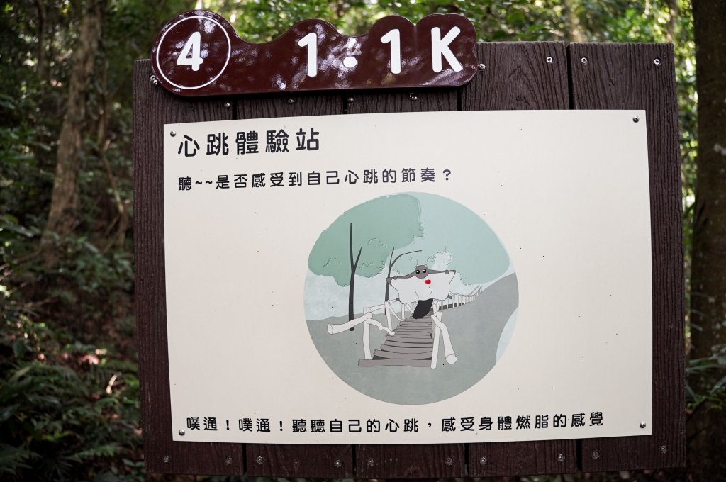 大坑1號步道_2865269